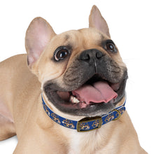 Load image into Gallery viewer, Gasparilla Dog Collar