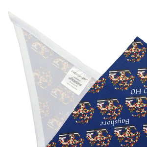 Gasparilla Pet Bandana - small ships