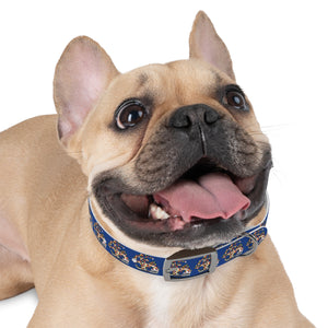 Gasparilla Dog Collar