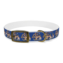 Load image into Gallery viewer, Gasparilla Dog Collar