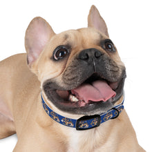 Load image into Gallery viewer, Gasparilla Dog Collar