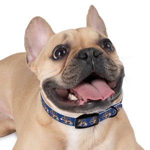 Gasparilla Dog Collar