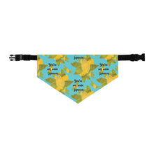 Load image into Gallery viewer, Lemon Pet Bandana Collar