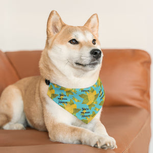 Lemon Pet Bandana Collar