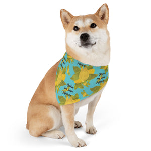 Lemon Pet Bandana Collar