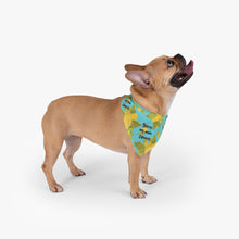 Load image into Gallery viewer, You&#39;re my main squeeze  Pet Bandana