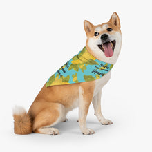 Load image into Gallery viewer, You&#39;re my main squeeze  Pet Bandana