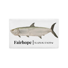 Load image into Gallery viewer, Tarpon Premium Pillow Case-Fairhope/Tampa